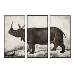 DKD Home Decor Pintura Colonial Rinoceronte (180 x 4 x 120 cm) - S3038868
