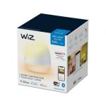 Wiz Squire Color and White Ambiance LED - 8719514553026