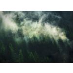 Komar Fotomural Landscape X7-1003 Misty Crowns Verde 350x250 (cm)