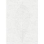 Komar Fotomural Still Life R2-012 Decent Leaf Branco 200x280 (cm)