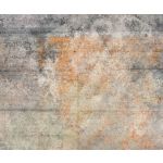 Komar Fotomural Textures 166-DV3 Surface Cinza/laranja 300x250 (cm)