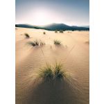 Komar Fotomural Stefan Hefele SHX4-091 Vivid Dunes Cinza/verde/beige 200x280 (cm)