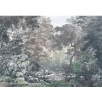 Komar Fotomural Floral And Wellness R4-060 Fairytale Forest Castanho/cinza/verde 400x280 (cm)