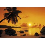 Komar Fotomural Tropical 8-316 Sunset Castanho/amarelo/laranja 368x254 (cm)
