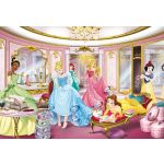 Komar Fotomural Disney By 8-4108 Disney Princess Mirror Branco/azul/amarelo/verde/rosa 368x254 (cm)