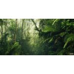 Komar Fotomural Stefan Hefele PSH098-VD5 Tropenwelten Castanho/verde/beige 500x250 (cm)