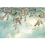 Komar Fotomural Landscape 8-213 Sakura Branco/azul/verde/rosa 368x254 (cm)