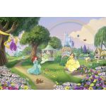 Komar Fotomural Disney By 8-449 Princess Rainbow Azul/castanho/amarelo/verde/violeta/beige 368x254 (cm)