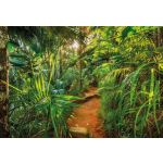 Komar Fotomural Floral And Wellness 8-989 Jungle Trail Amarelo/verde/beige 368x254 (cm)