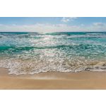 Komar Fotomural Landscape 8-983 Seaside Branco/azul/verde/beige 368x254 (cm)