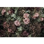 Komar Fotomural Floral And Wellness 8-980 Velvet Castanho/verde/rosa/beige 368x254 (cm)