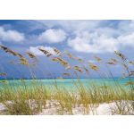 Komar Fotomural National Geographic 8-515 Ocean Breeze Branco/azul/verde/beige 368x254 (cm)