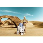 Komar Fotomural Star Wars By 8-484 Star Wars Lost Droids Azul/castanho/beige 368x254 (cm)