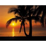 Komar Fotomural Tropical 8-255 Palmy Beach Sunrise Preto/amarelo/laranja 368x254 (cm)