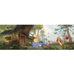 Komar Fotomural Disney By 4-413 Pooh's House Branco/azul/castanho/verde/laranja/vermelho/beige 368x127 (cm)