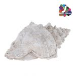 JOM Decor Praia 252120300