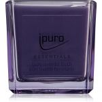 Ipuro Essentials Lavender Touch Vela Perfumada 125 G