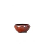 Luso Bonsai Vaso de Mame 10*5,5 cm Castanho Oxido - 06134F