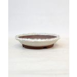 Luso Bonsai Vaso Redondo 19,5*3,5 cm Creme - Japão - 84253