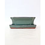 Luso Bonsai Vaso + Prato 15*12*5,5 cm Verde - 84104