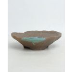 Luso Bonsai Vaso Mame - Kusamono 18x4.5cm - Jp - 07338