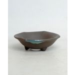 Luso Bonsai Vaso Mame - Kusamono 15x4,3cm - Jp - 07328