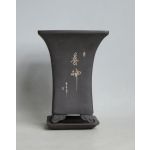 Luso Bonsai Vaso+ Prat Quadrado Cascata c/ bordo 16x16x21 cm SE Escuro - 80485