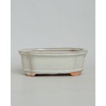Luso Bonsai Vaso Rectangular 15,5*12*5,5 cm Creme - 83123
