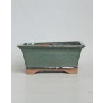 Luso Bonsai Vaso Rectangular 31x25x10,5 cm Verde - 80874