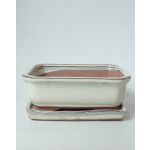 Luso Bonsai Vaso Rectangular + Prato 31*25*8 cm Creme - 89363