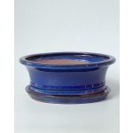Luso Bonsai Vaso Oval + Prato 25,5*19,5*8 cm Azul - 84912