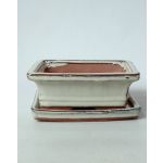 Luso Bonsai Vaso Rectangular + Prato 15*11,5*5 cm Creme - 83643