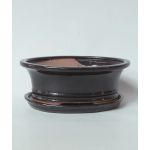 Luso Bonsai Vaso Oval + Prato 25,5*19,5*8 cm Preto - 84919