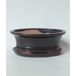 Luso Bonsai Vaso Oval + Prato 15,5*12*4,5 cm Preto - 83629