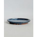 Luso Bonsai Prato Oval 24.5*18*2 cm Azul - 89682
