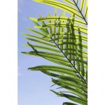 Sinder Planta Artificial Palmeira 120x80 cm Verde