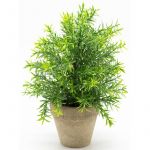 Sinder Planta Artificial em Vaso Rústica Verde 32 cm Pinho