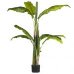Beliani Planta Artificial Bananeira de Material Sintético Verde em Vaso Preto Tem Altura de 154 cm Acessório Decorativo para Interior Exterior 14x14x154 - 4251682243643