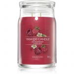 Yankee Candle Red Raspberry Vela Perfumada i. Signature 567g