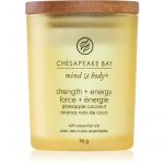 Chesapeake Bay Candle Mind & Body Strength & Energy Vela Perfumada 96g