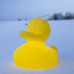 Smart and Green Duck-duck S / Amarelo
