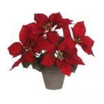 EDM Planta Flor Do Natal Vermelha Em Vaso Cinzento