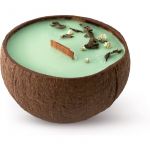 Tropicandle Green Tea Vela Perfumada com Pavio de Madeira 350ml