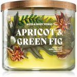 Bath & Body Works Apricot & Green Fig Vela Perfumada 411g