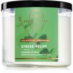Bath & Body Works Eucalyptus Spearmint Vela Perfumada Stress Relief 411g