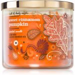 Bath & Body Works Sweet Cinnamon Pumpkin Vela Perfumada 411g