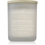 Dw Home Charming Farmhouse Lavender Leaf Vela Perfumada 107 g