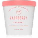 Dw Home Creamery Raspberry Sherbet Vela Perfumada 300 g