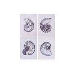 Home Esprit Pintura Concha 60 x 2,5 x 80 cm (4 Unidades) - S3054709