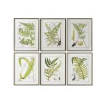 Home Esprit Pintura Moderno Pteridófitas 50 x 2,5 x 65 cm (6 Unidades) - S3055708